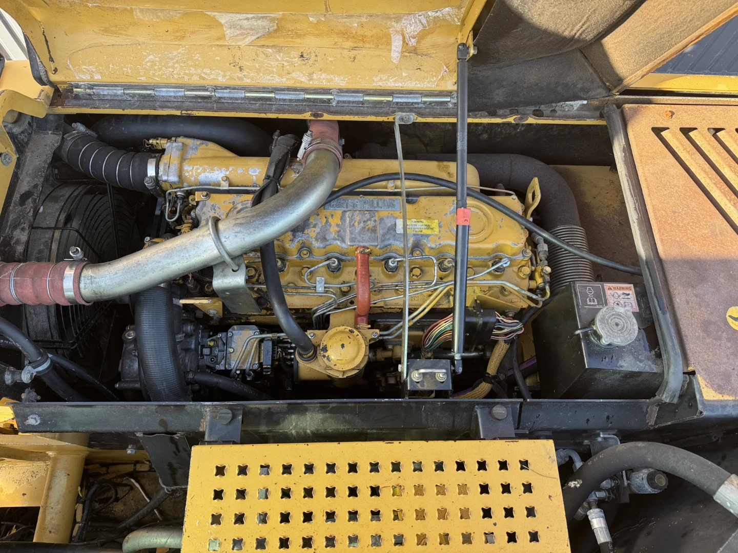  Cat  316  | Mobile.bg   13