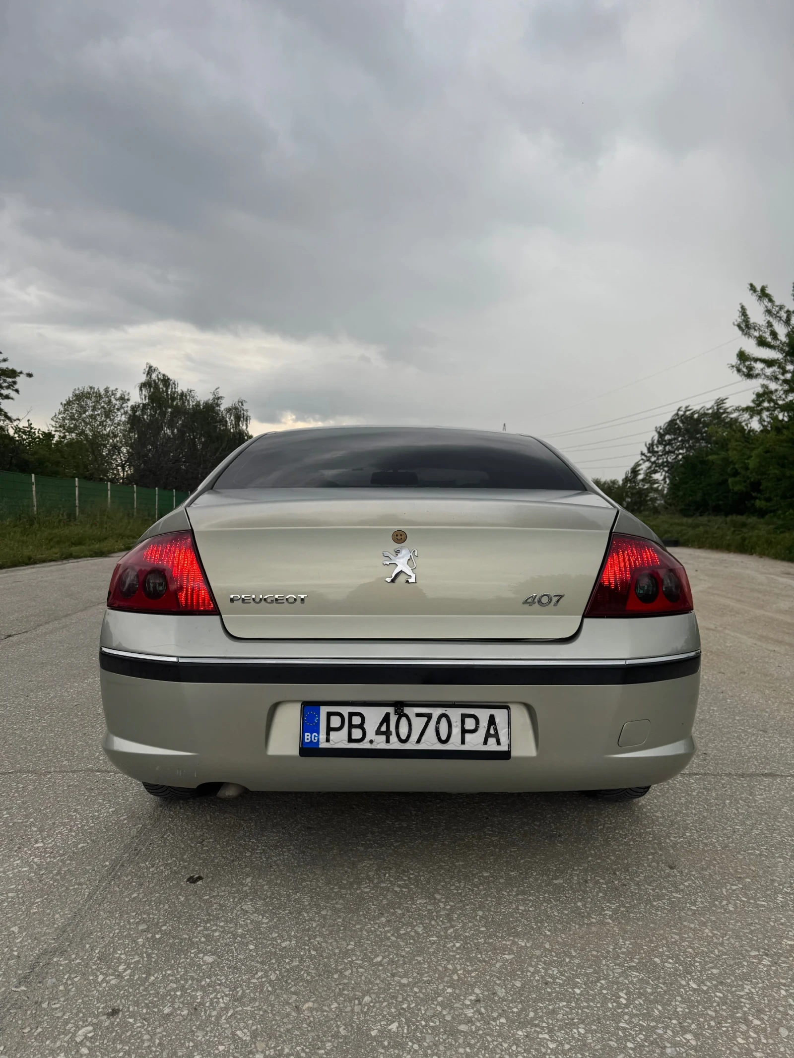 Peugeot 407, снимка 6 - Автомобили и джипове - 54512732