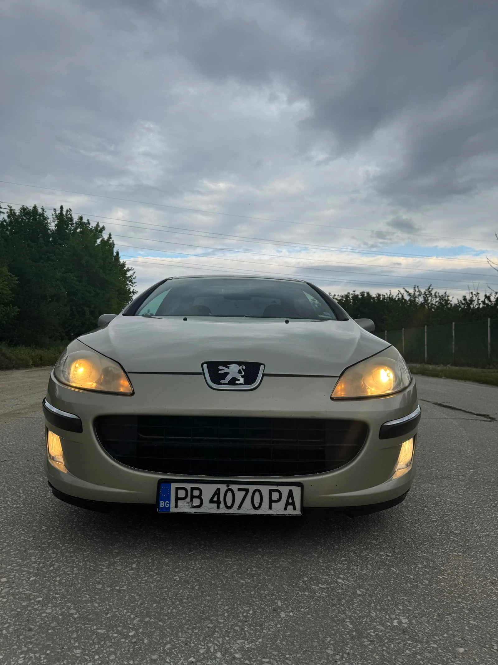 Peugeot 407, снимка 5 - Автомобили и джипове - 54512732
