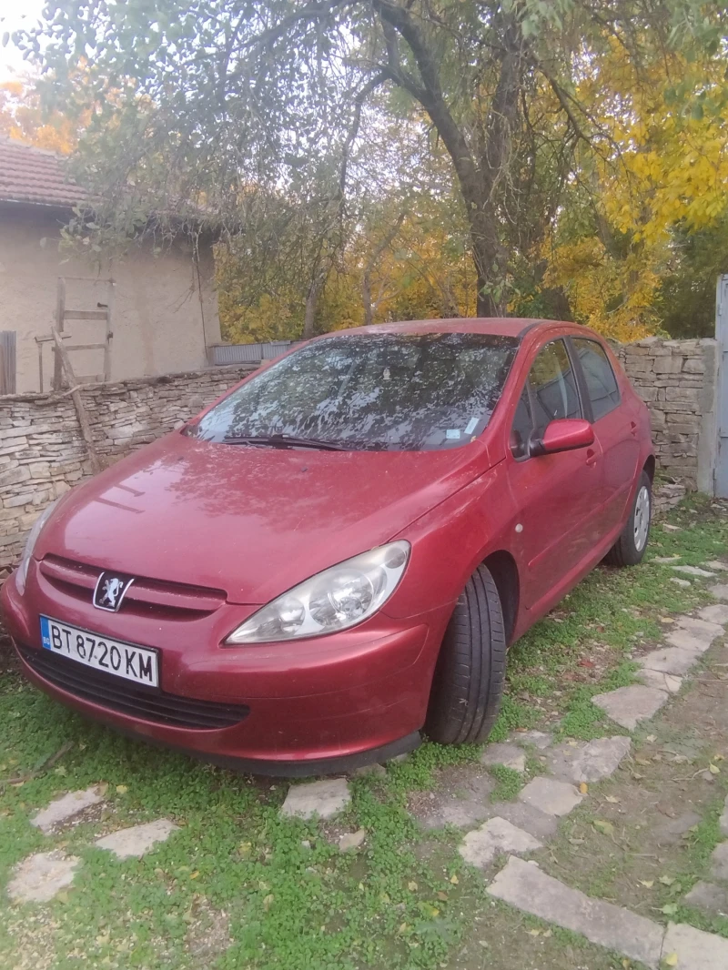 Peugeot 307 HDI, снимка 3 - Автомобили и джипове - 49293371