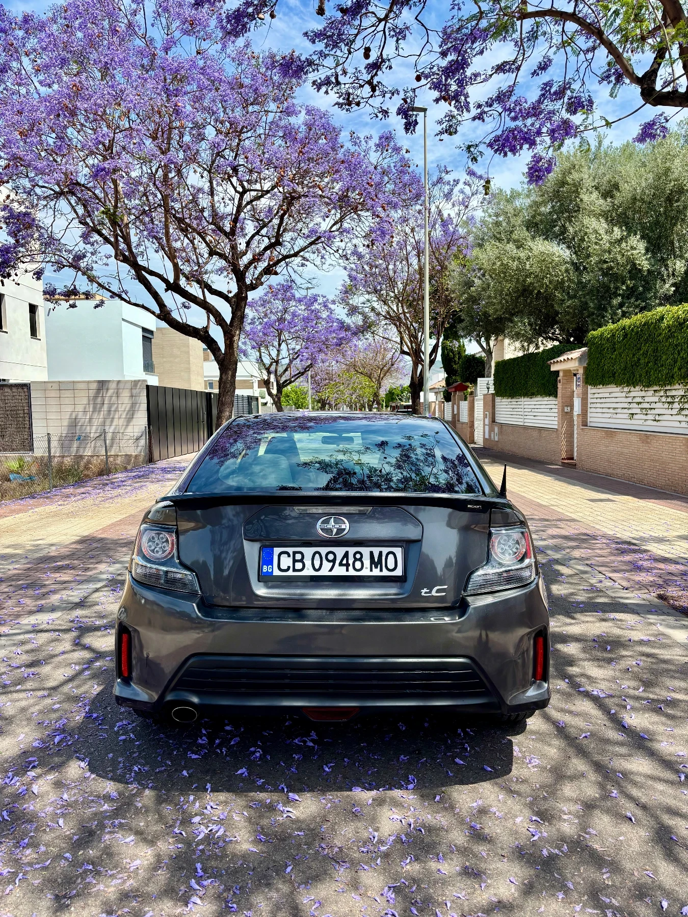 Toyota Scion 2.5 - изображение 4