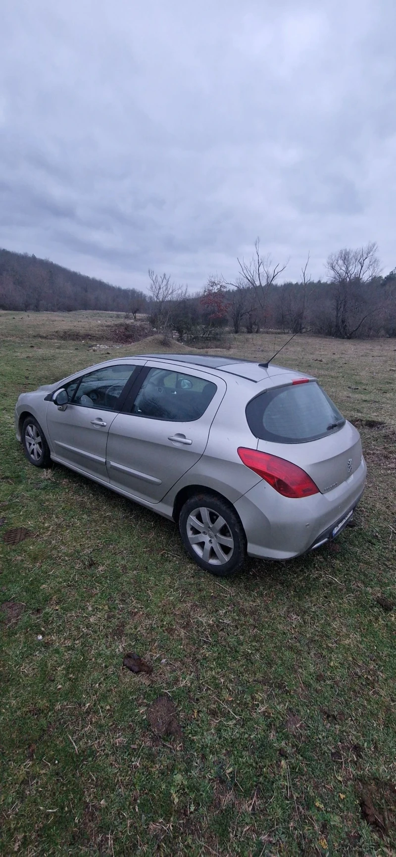 Peugeot 308 2.0 HDI, снимка 2 - Автомобили и джипове - 48490545