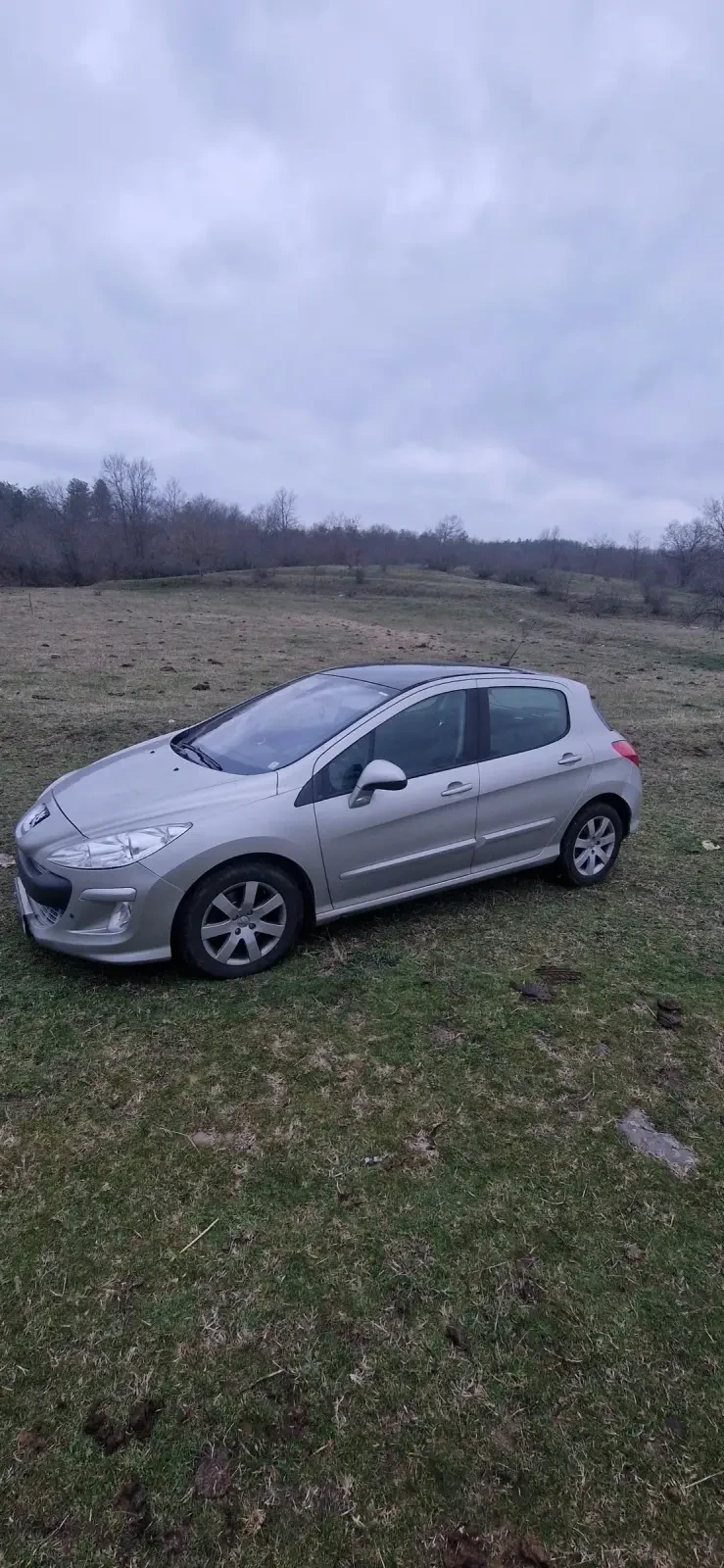 Peugeot 308 2.0 HDI, снимка 1 - Автомобили и джипове - 48490545