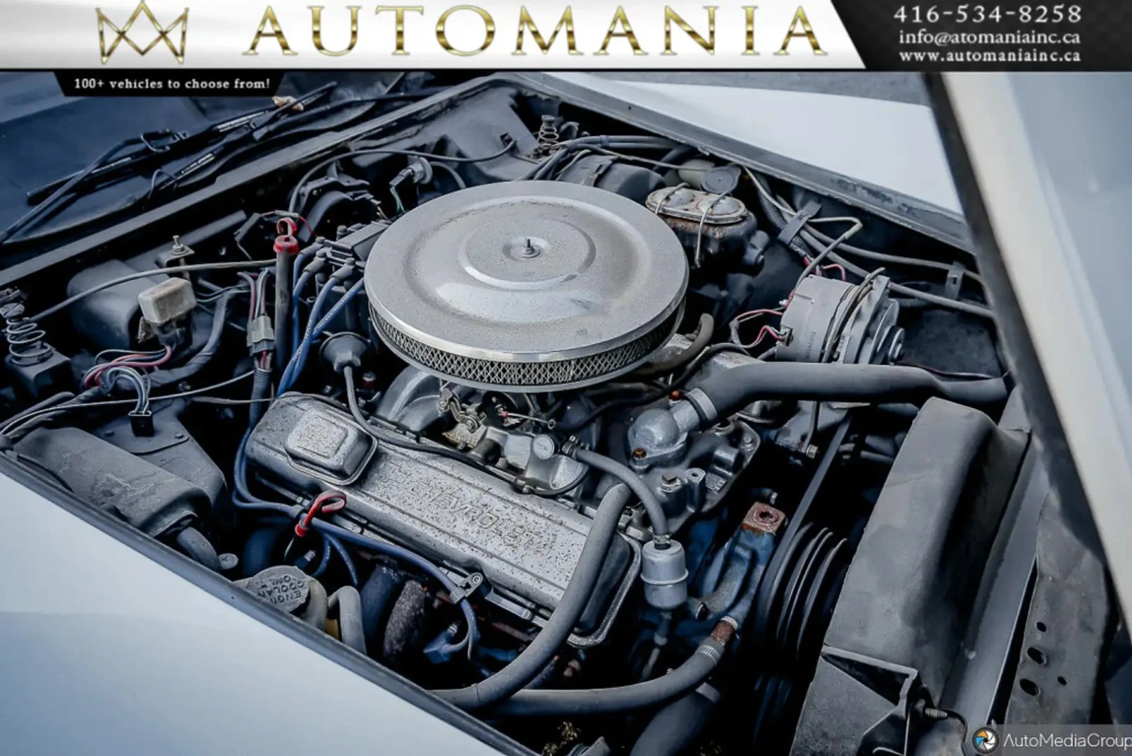 Chevrolet Corvette CARFAX ���� ������  | Mobile.bg � ����������� 17