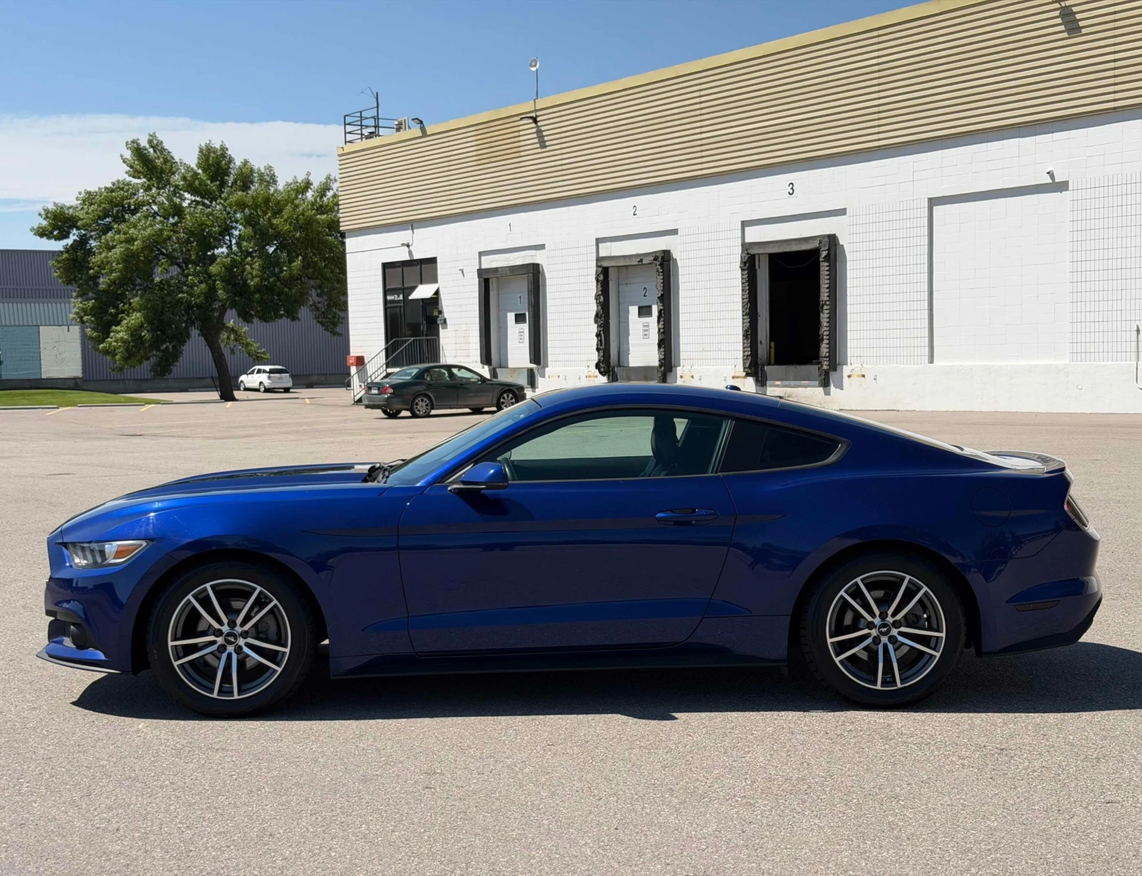 Ford Mustang ECOBOOST * PREMIUM * ОБДУХВАНЕ * КАМЕРА * CARFAX *, снимка 2 - Автомобили и джипове - 55196513