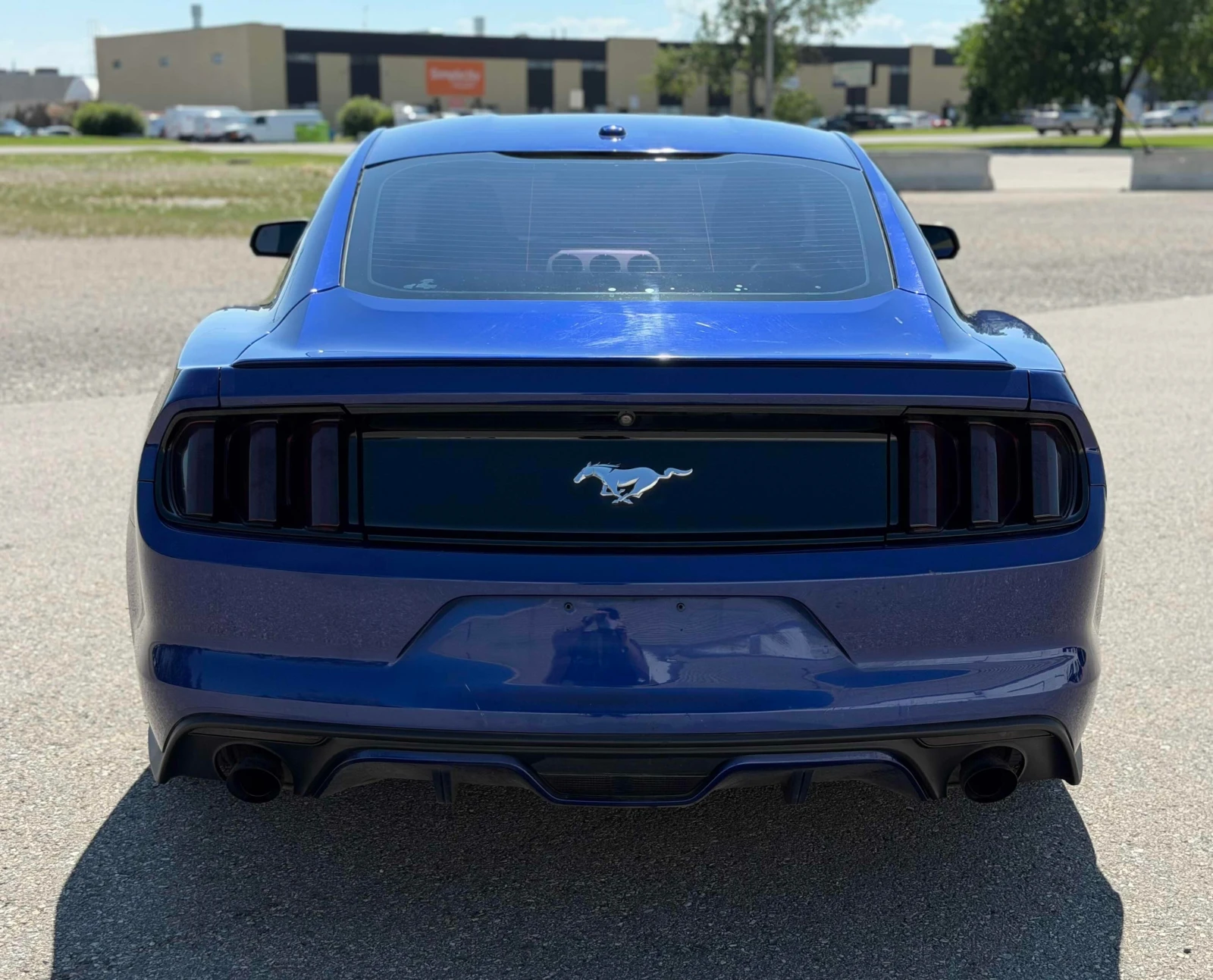 Ford Mustang ECOBOOST * PREMIUM * ОБДУХВАНЕ * КАМЕРА * CARFAX *, снимка 4 - Автомобили и джипове - 55196513