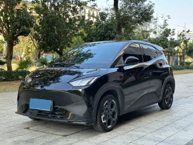 ������ BYD Seagull