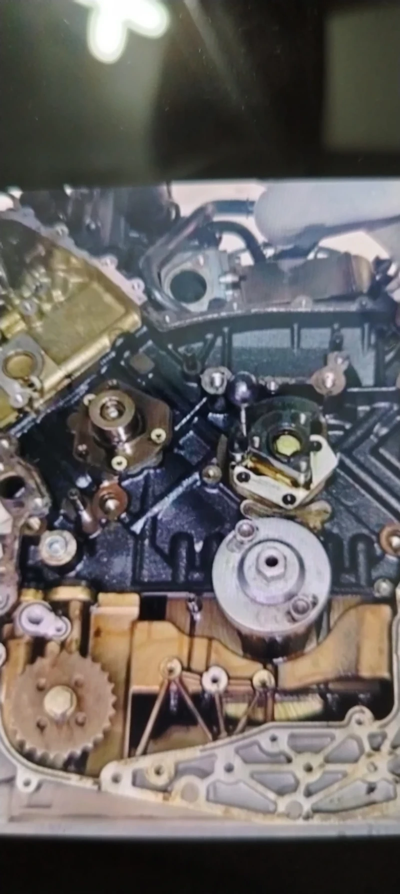 Audi A6 Koatro, снимка 12 - Автомобили и джипове - 53578507