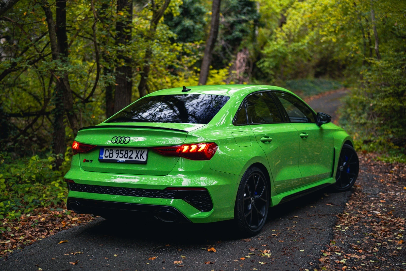 Audi Rs3  - изображение 6