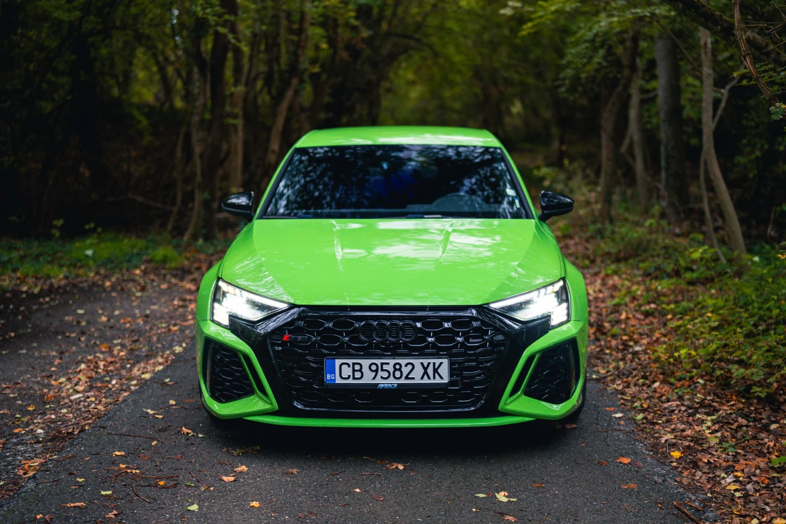 Audi Rs3  - изображение 5