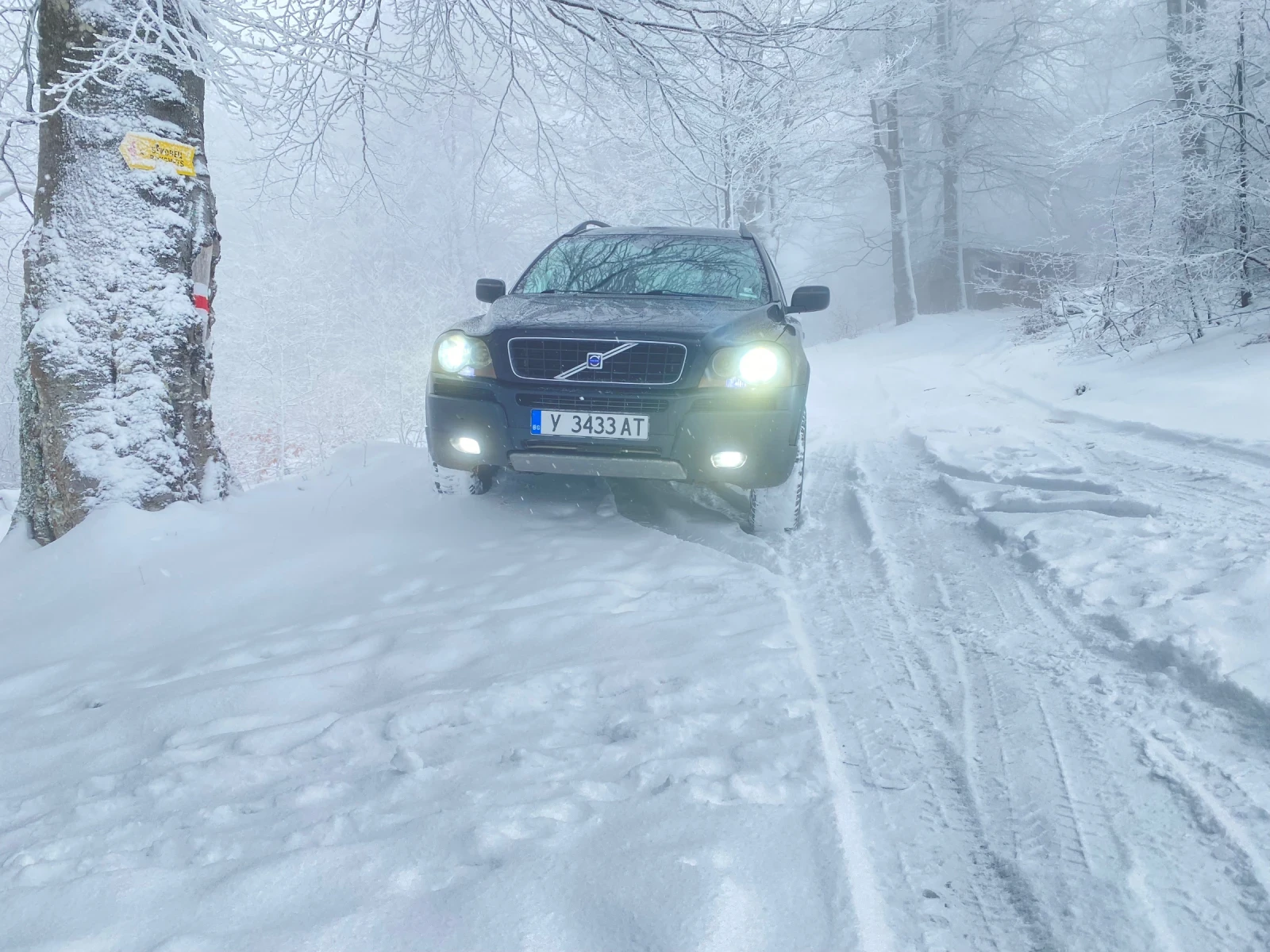 Volvo Xc90, снимка 3 - Автомобили и джипове - 54945702