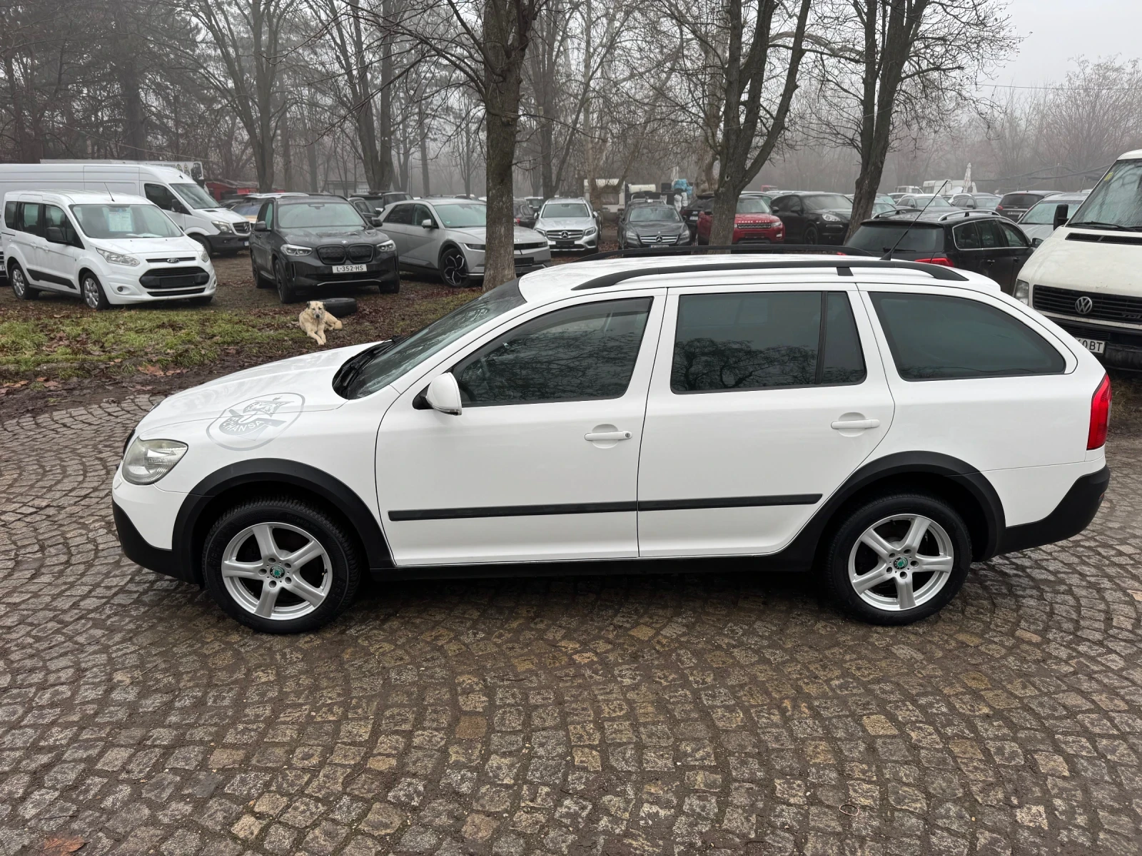 Skoda Octavia SKOUT/2.0 TDI/ 140 к.с - изображение 3