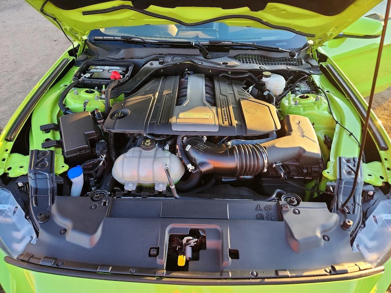 Ford Mustang 5.0l Gt, снимка 11 - Автомобили и джипове - 54445831
