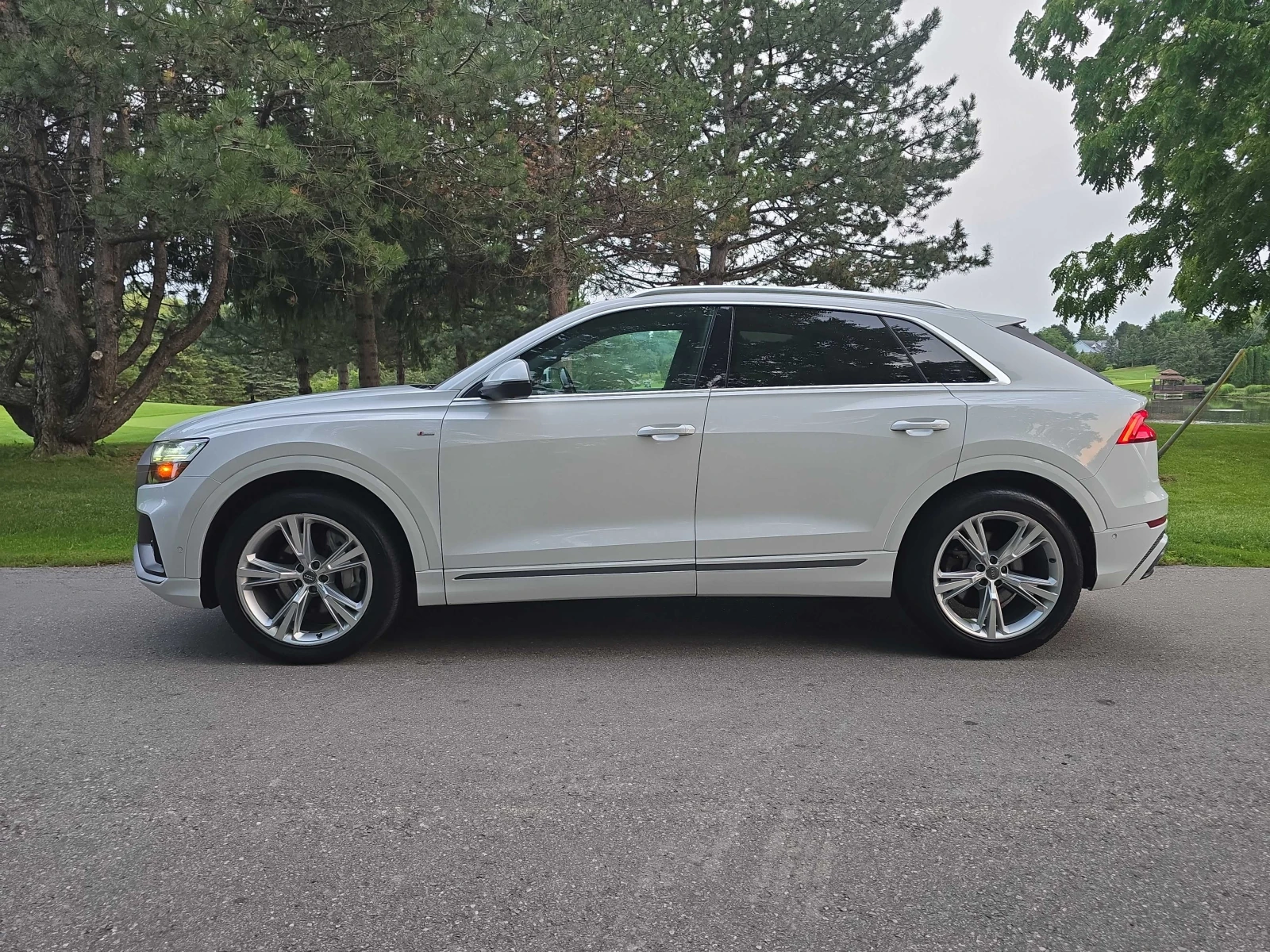 Audi Q8 Progressiv, ПРОГНОЗНА ЦЕНА до БГ, снимка 2 - Автомобили и джипове - 55666938