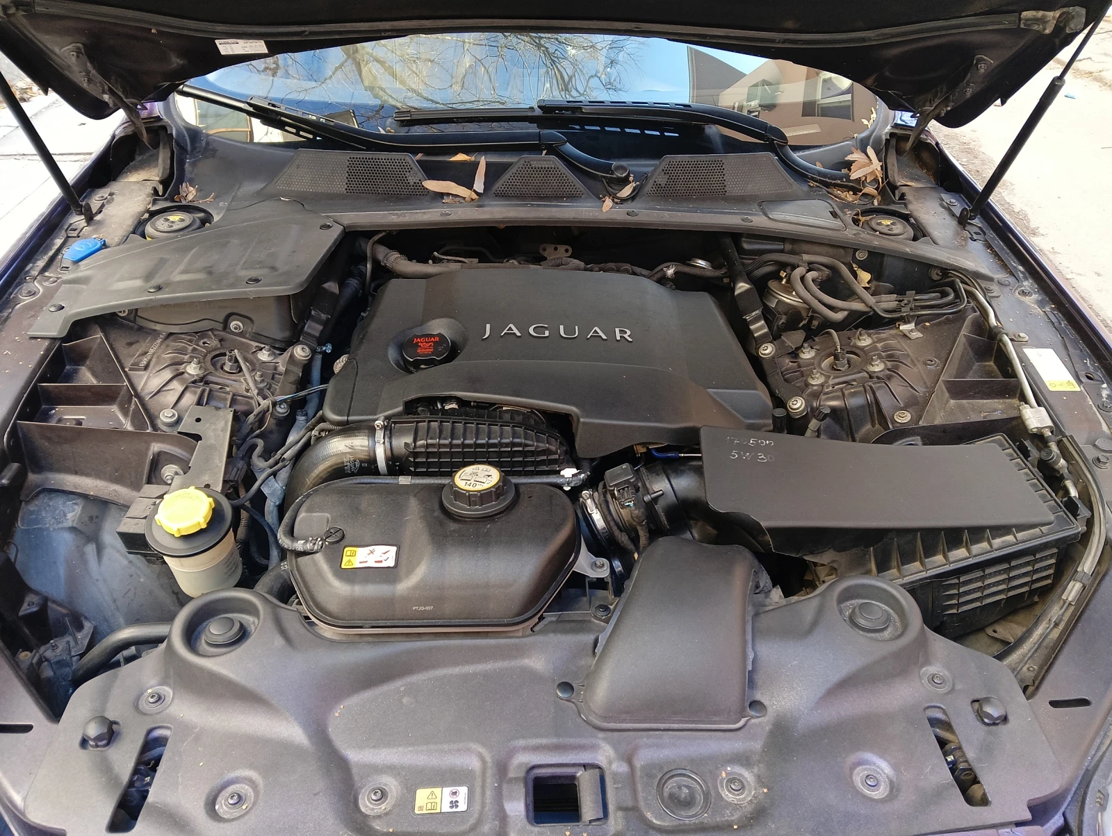 Jaguar Xj 3.0 SDV6 LONG  | Mobile.bg � ����������� 5