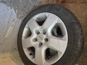        205/55R16  Opel Vectra