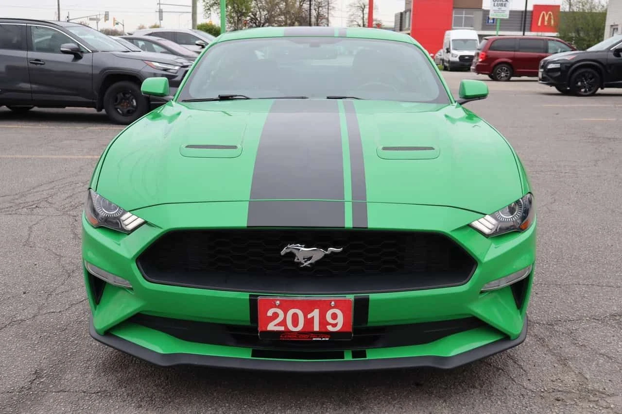 Ford Mustang * EcoBoost Coupe | No Accident | Clean Carfax * CA, снимка 2 - Автомобили и джипове - 55047575