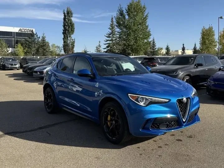Alfa Romeo Stelvio CARFAX  - изображение 3