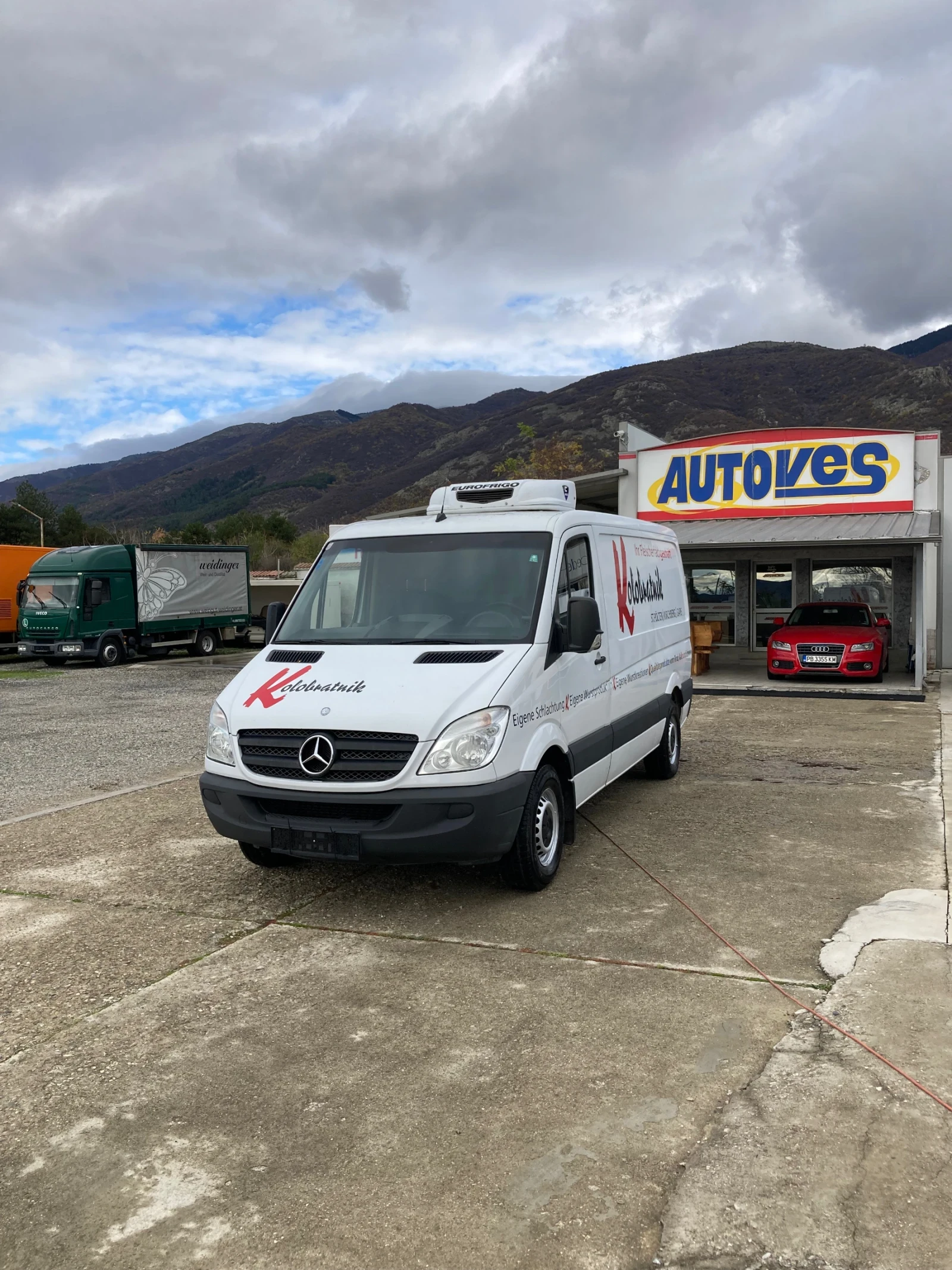 Mercedes-Benz Sprinter 313   | Mobile.bg   1