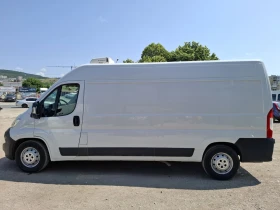 Fiat Ducato MAXI THERMO KING | Mobile.bg    8