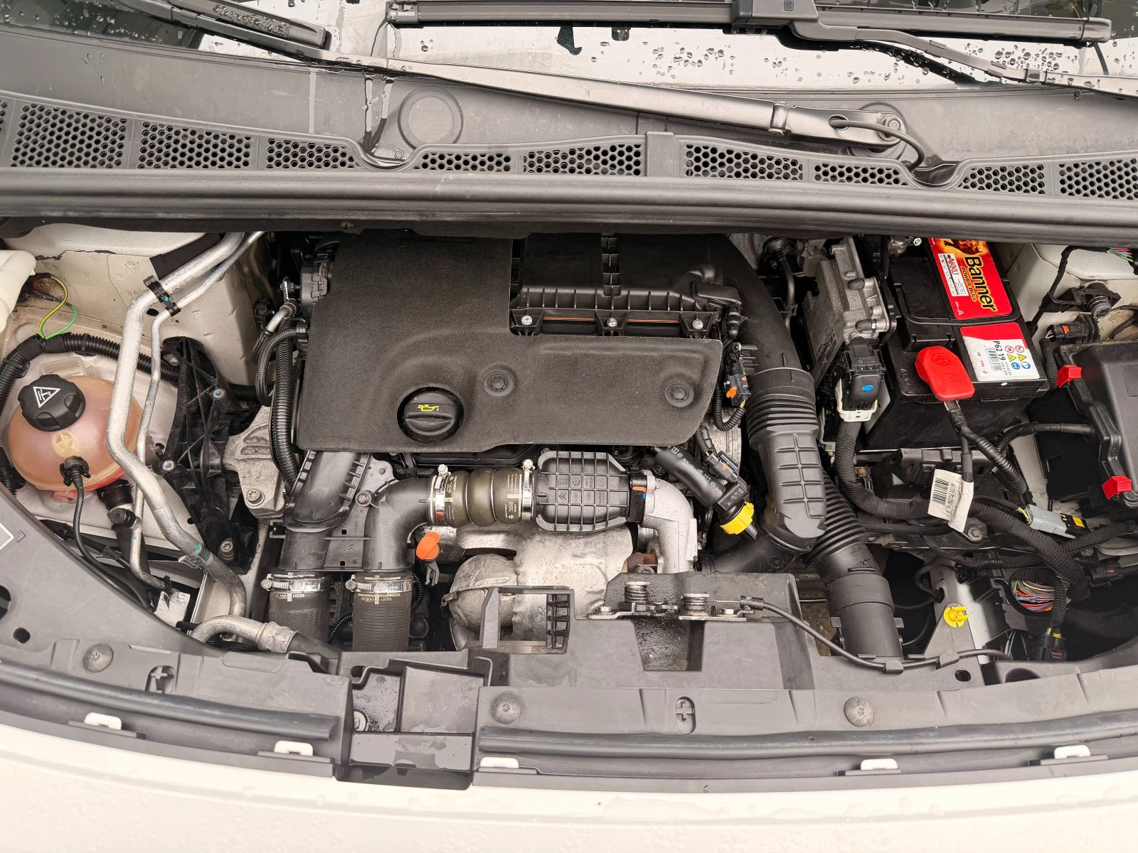 Citroen Berlingo 1.6hdi | Mobile.bg   13