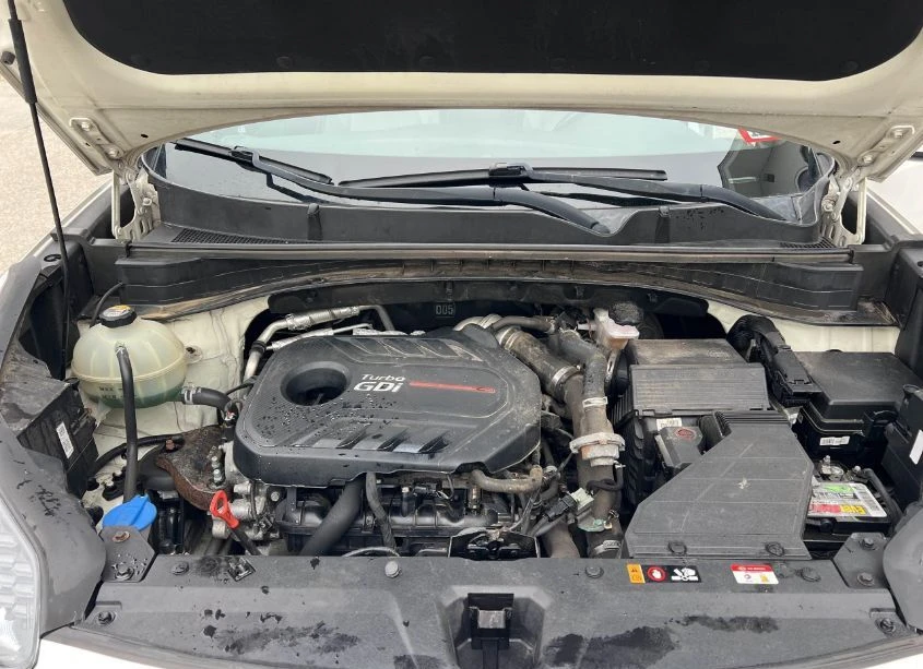 Kia Sportage  - изображение 10