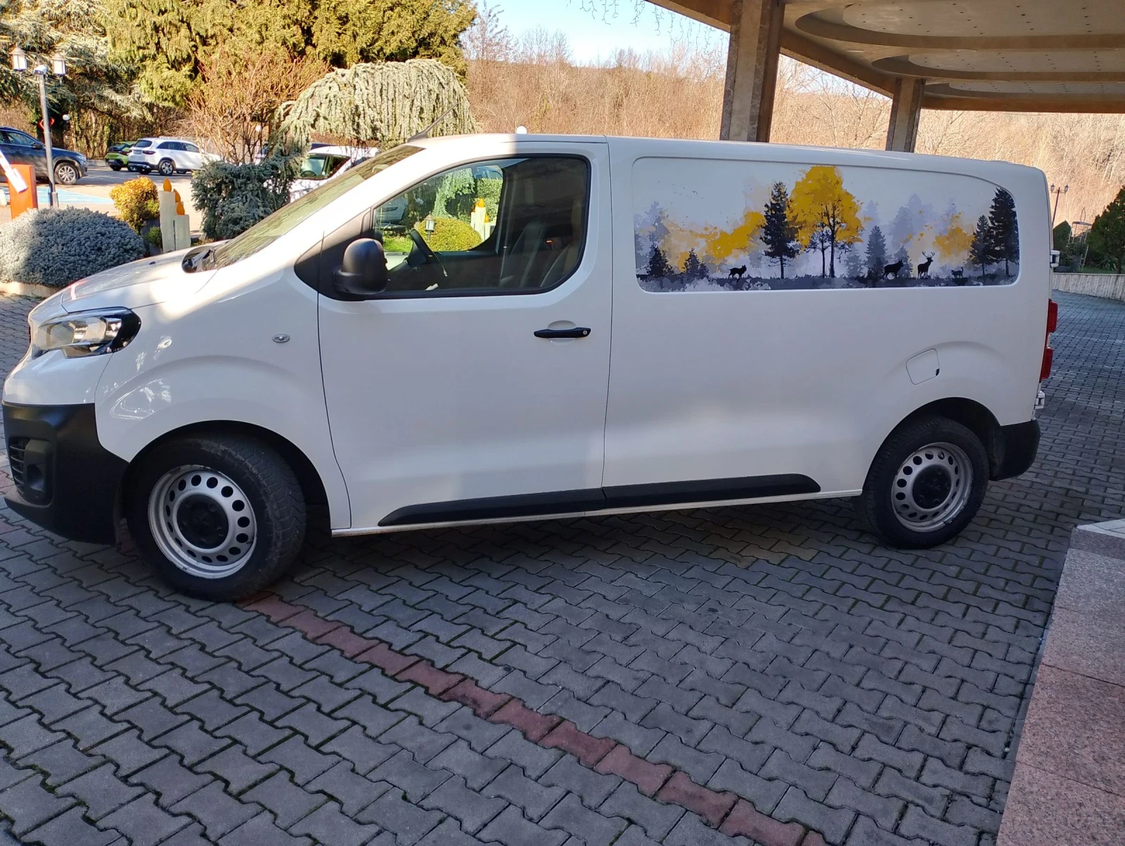 Peugeot Expert 2L  150cv - изображение 3