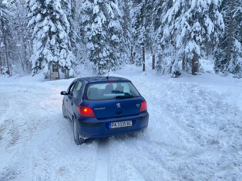 Peugeot 307, снимка 3 - Автомобили и джипове - 48647565