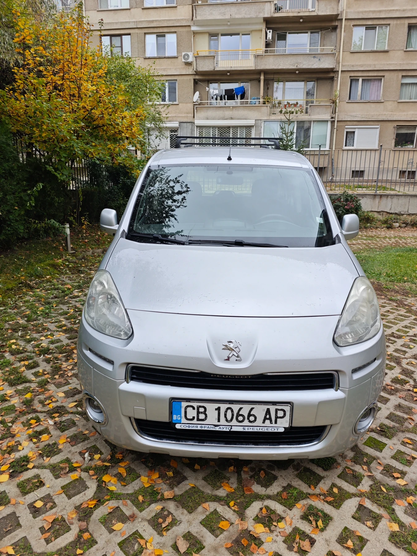 Peugeot Partner Товарен 4+ 1 N1, снимка 1