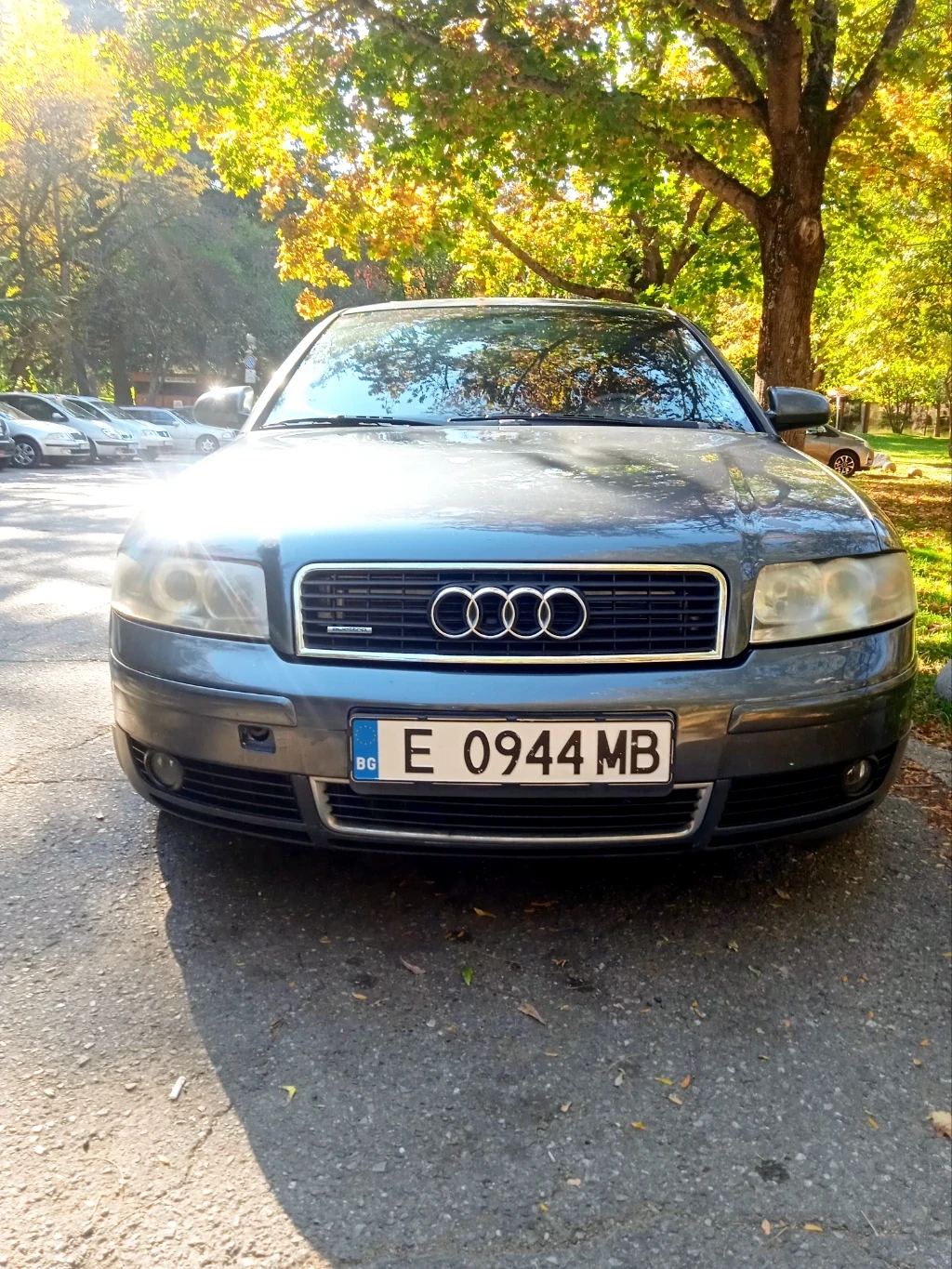 Audi A4 Quattro, 2.5 TDI - изображение 3