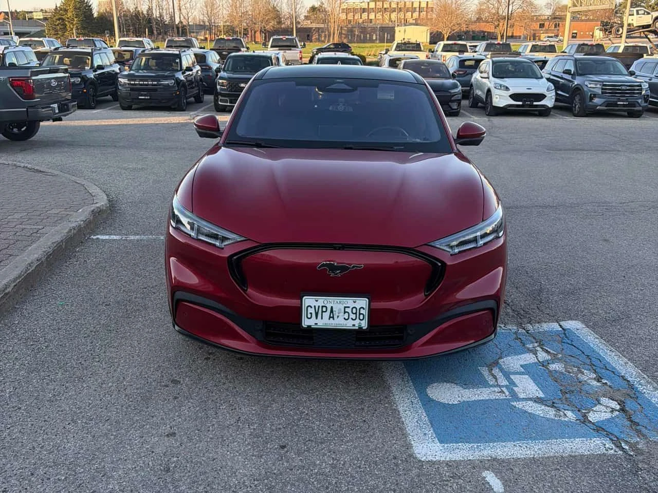 Ford Mustang Mach-E * Premium * CARFAX * ��� ������������ ������ | Mobile.bg � ����������� 6