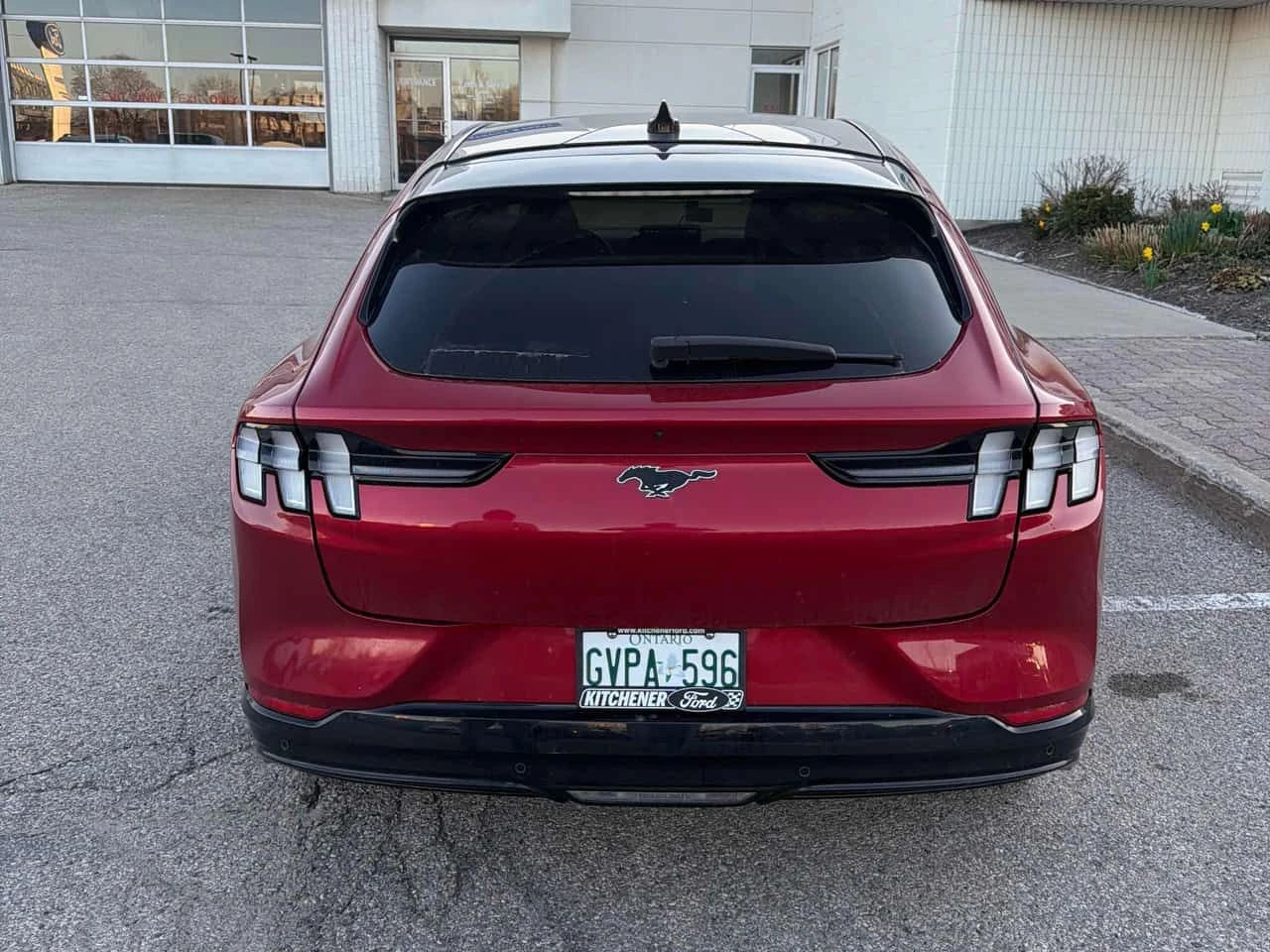 Ford Mustang Mach-E * Premium * CARFAX * ��� ������������ ������ | Mobile.bg � ����������� 4