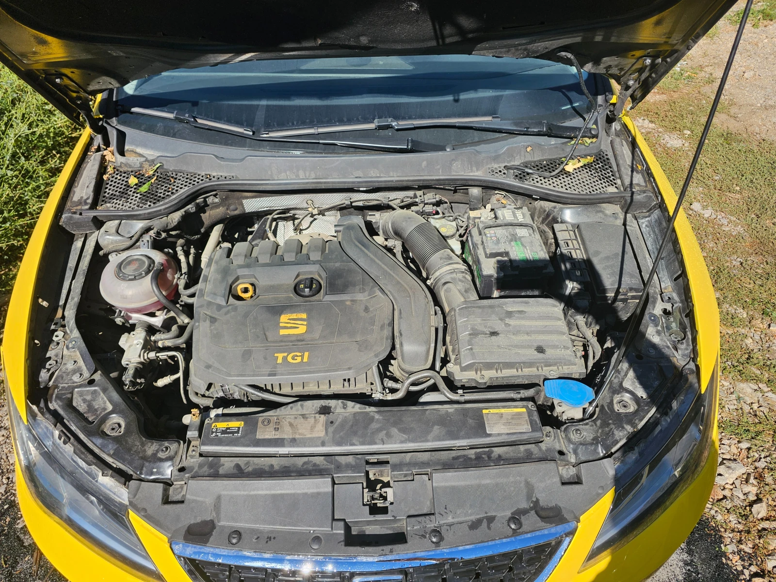 Seat Leon 1.5  TGI, снимка 12 - Автомобили и джипове - 56350713