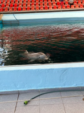 BMW 320 163hp - 3300 € / 6454.24 лв. - 84975702 6