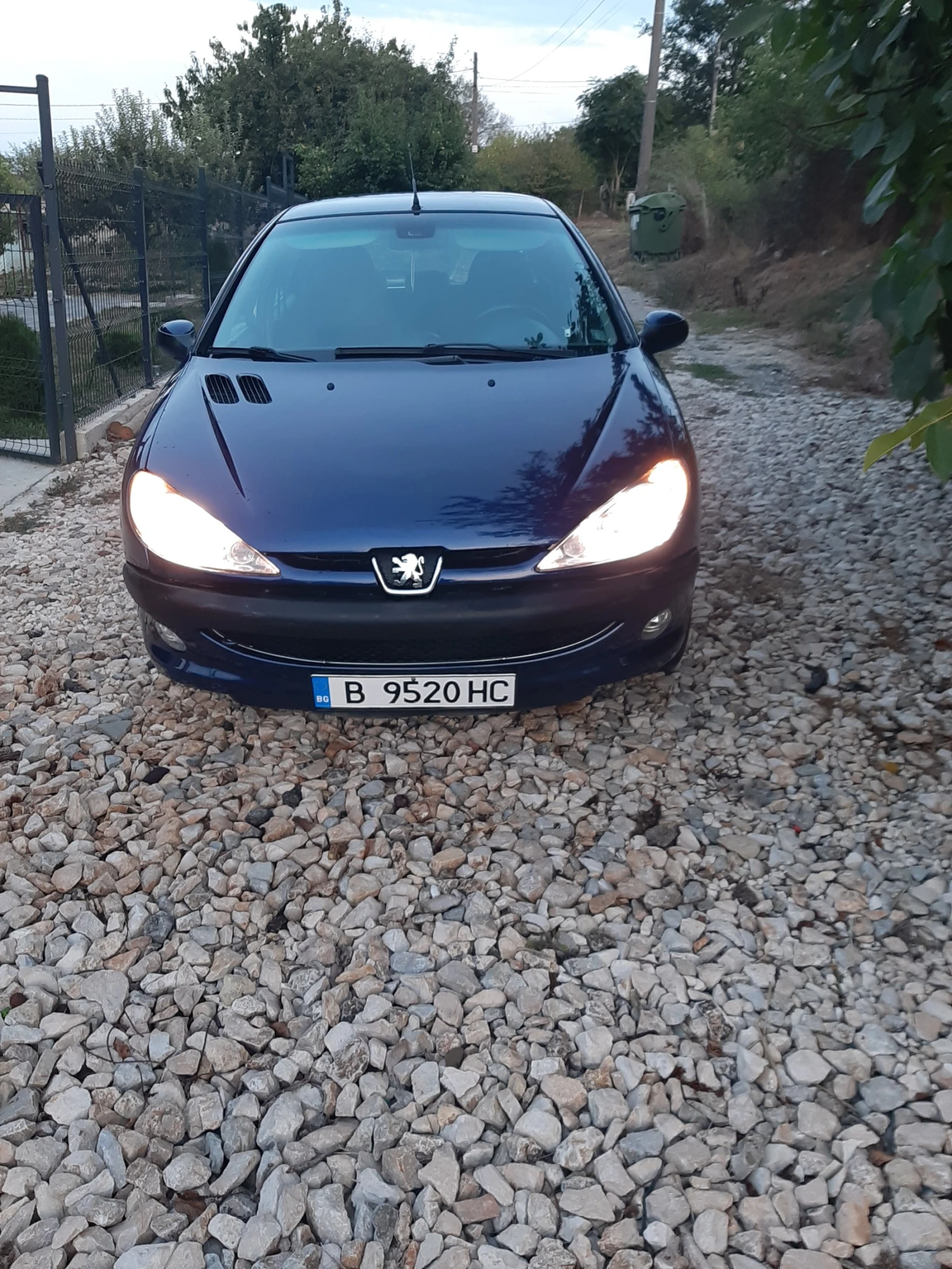 Peugeot 206, снимка 1