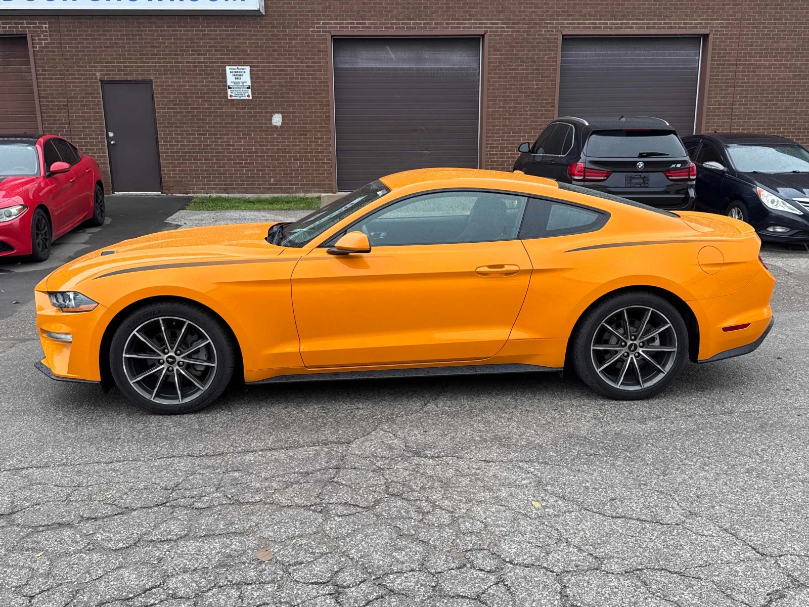 Ford Mustang EcoBoost * CARFAX * АВТОКРЕДИТ * , снимка 2 - Автомобили и джипове - 56083478