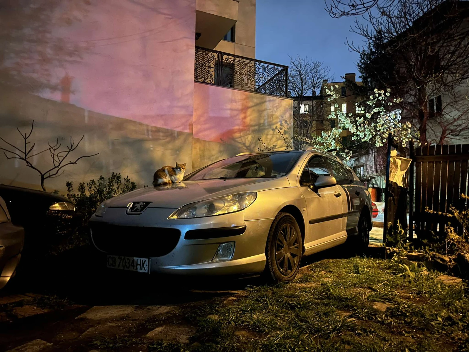 Peugeot 407  - изображение 9
