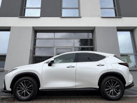 Lexus NX 350h BUSINESS/243HP/CAM/NAVI/LED/KLESS/CPLAY/510q, снимка 3