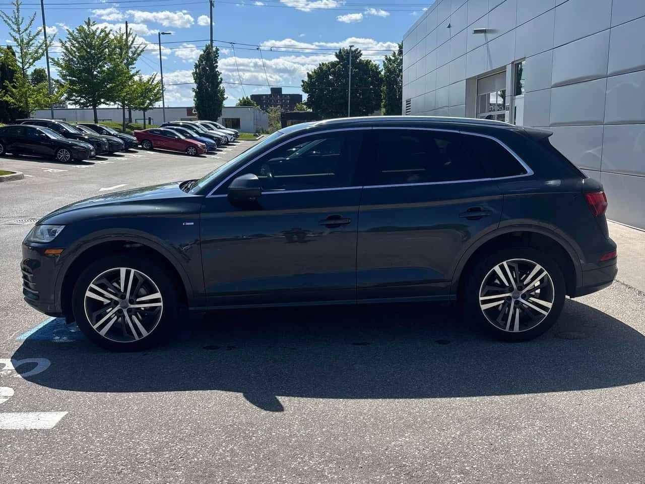 Audi Q5 * Technik * АВТОКРЕДИТ * ОТ ПРЕДСТАВИТЕЛСТВО, снимка 3 - Автомобили и джипове - 54723762