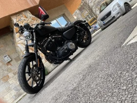 Harley-Davidson Sportster XL883 iron, снимка 3