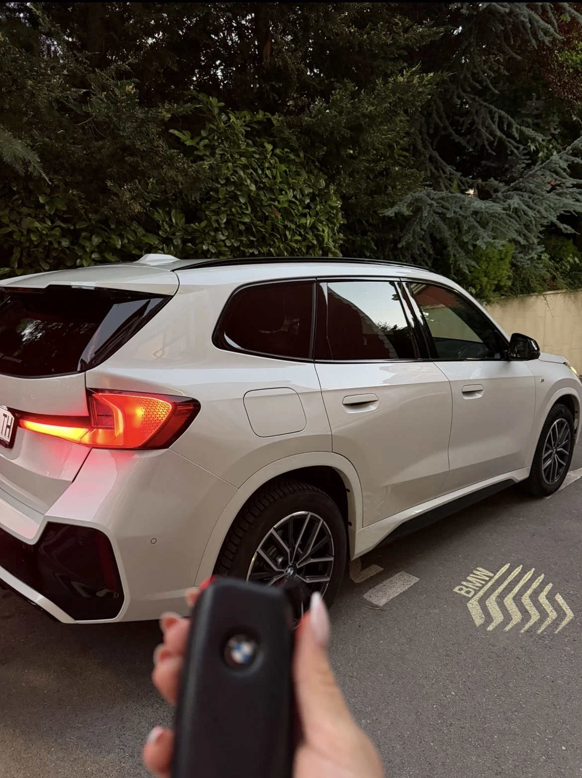 BMW X1, снимка 5 - Автомобили и джипове - 55062181