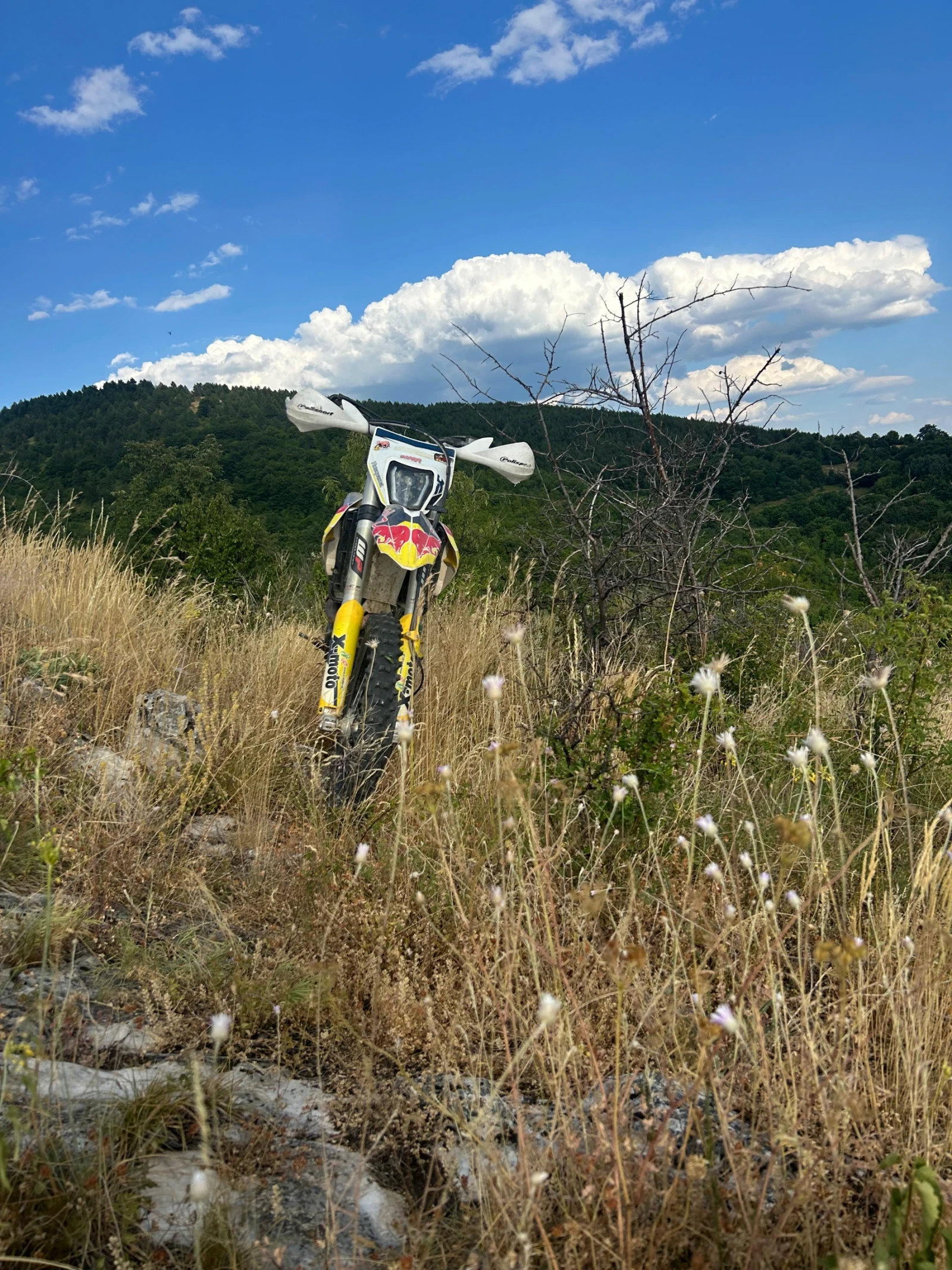 Husqvarna FE  - изображение 4