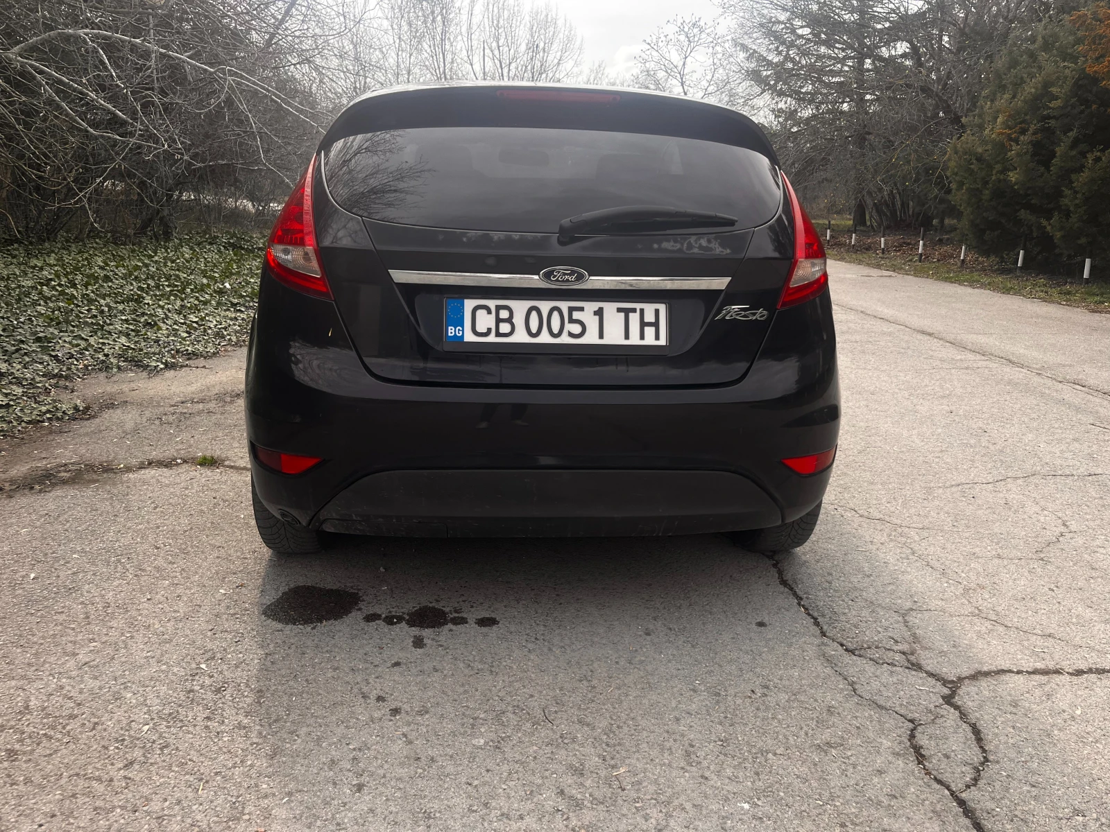 Ford Fiesta  - изображение 3