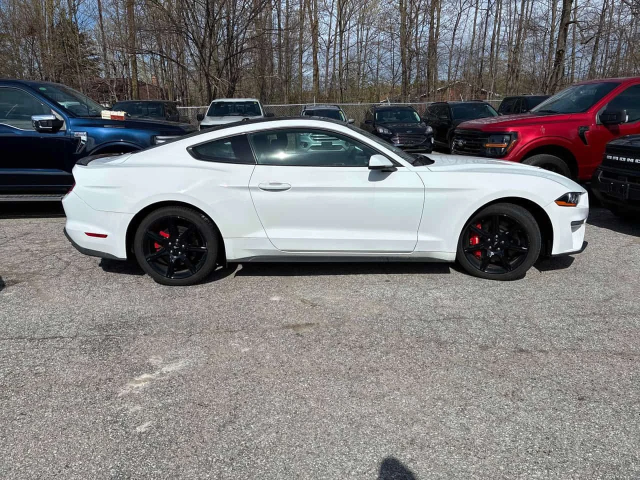Ford Mustang * EcoBoost * CARFAX * ОБДУХВАНЕ * НАВИГАЦИЯ * , снимка 3 - Автомобили и джипове - 54468344