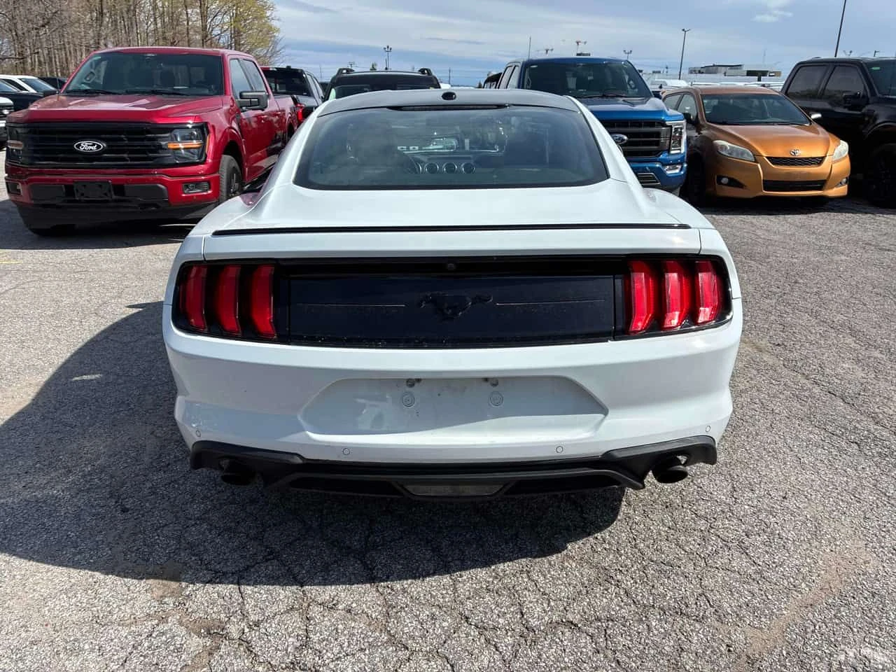 Ford Mustang * EcoBoost * CARFAX * ОБДУХВАНЕ * НАВИГАЦИЯ * , снимка 4 - Автомобили и джипове - 54468344