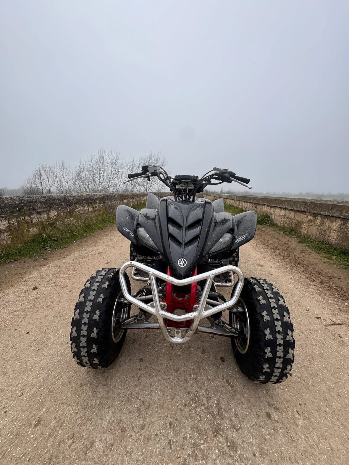 Yamaha Raptor
