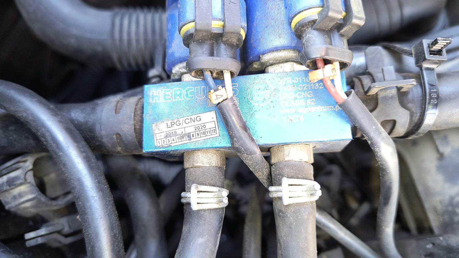 VW Beetle | Mobile.bg   6