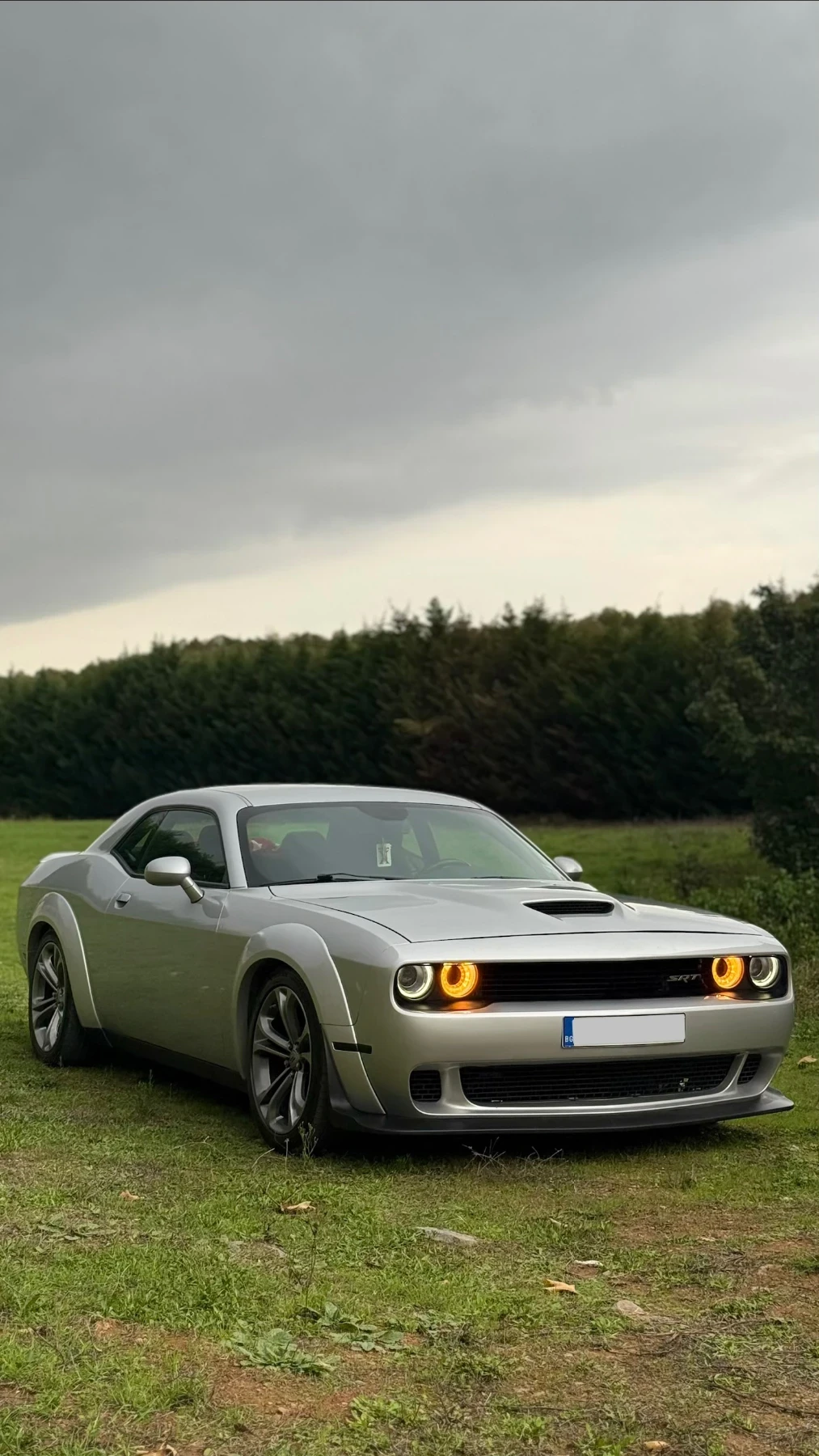 Dodge Challenger | Mobile.bg   2