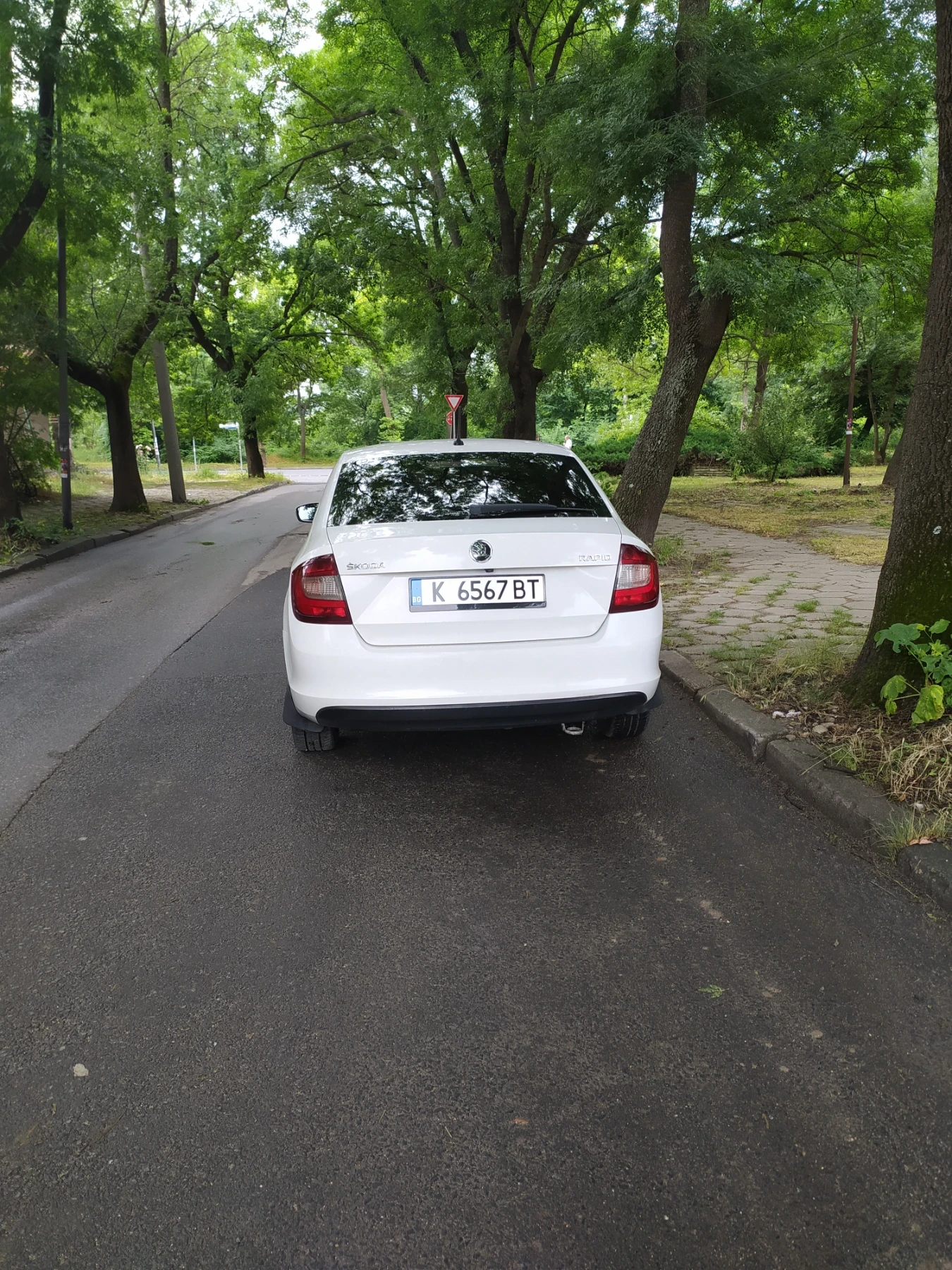 Skoda Rapid, снимка 4 - Автомобили и джипове - 55407614