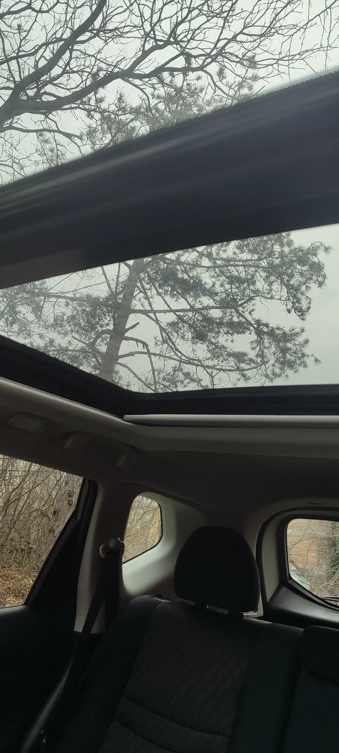 Nissan Rogue 2.5 - изображение 10